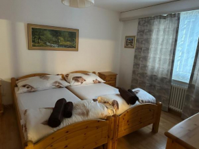 Haus Bündabrücke Davos Platz